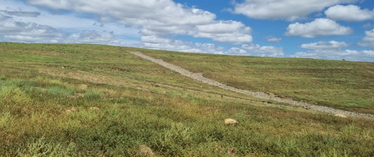 Rehabilitated mine landform with vegetated curved hillslope